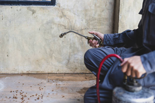 Best Wasp Removal Services  in Greenwood, AR